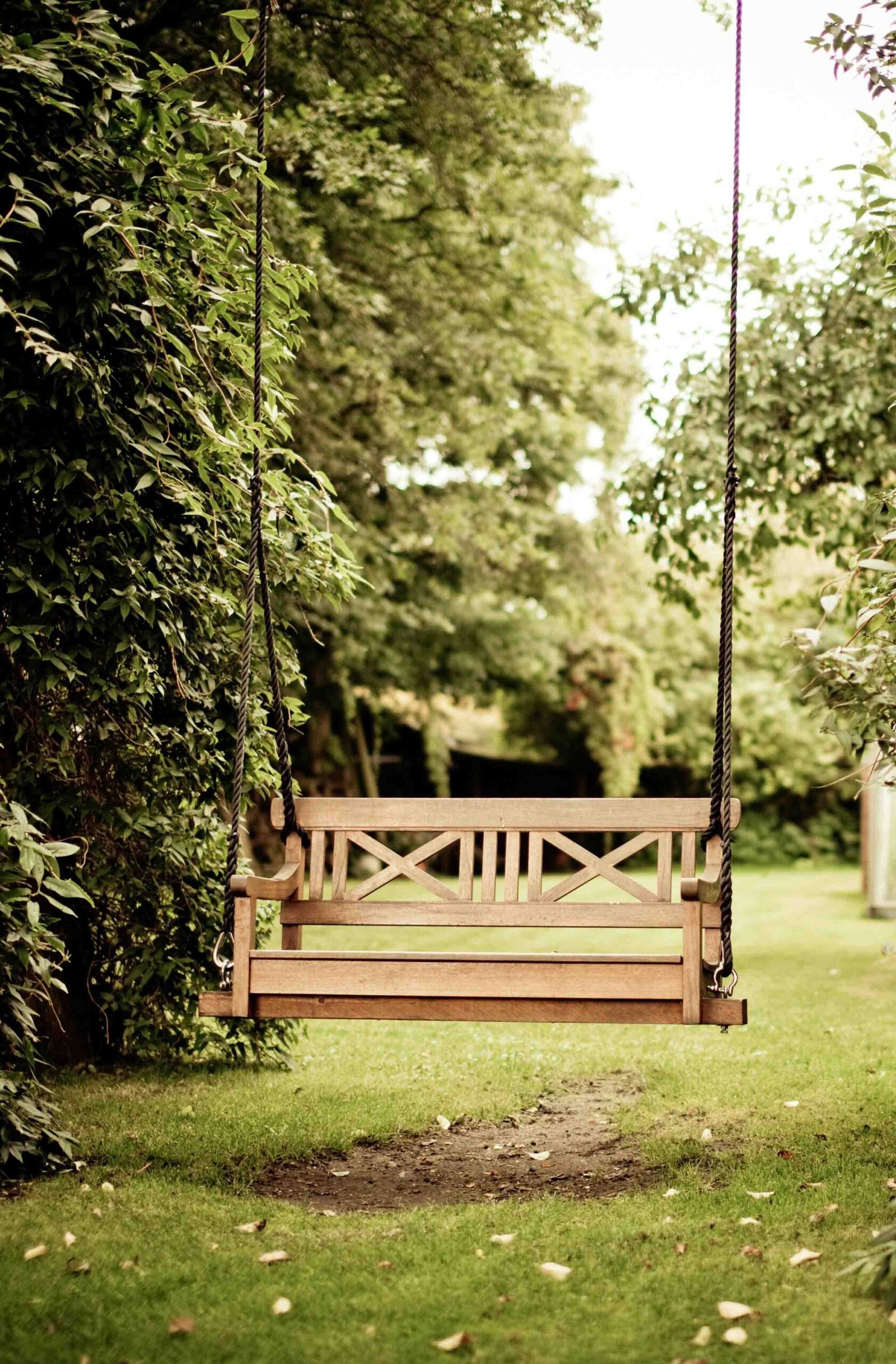 swing in the middle of a yard with greenery around it